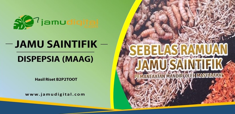 Ramuan Jamu Saintifik Untuk Penyakit Dispepsia (Maag)